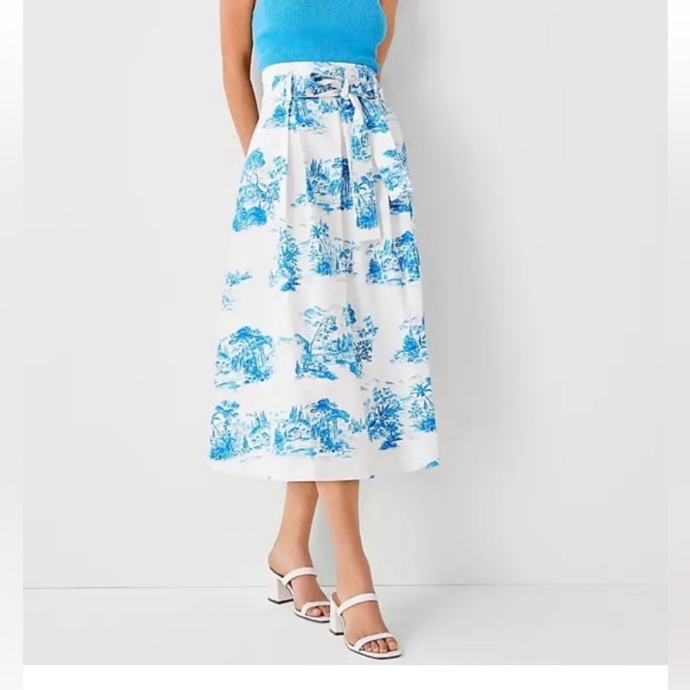 Ann Taylor Cream and Blue Scenic A-Line Skirt size 14